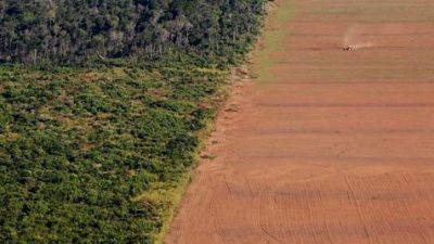 El Amazonia sufre una deforestación feroz