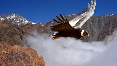 Ecoturismo: cuatro destinos sustentables de Argentina