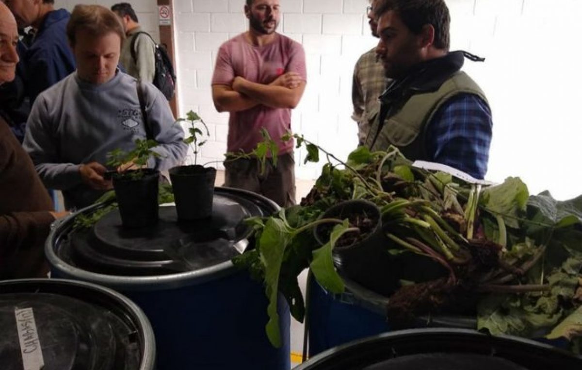 Chabás puso en marcha su biofábrica de ecofertilizantes