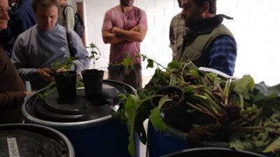 Chabás puso en marcha su biofábrica de ecofertilizantes