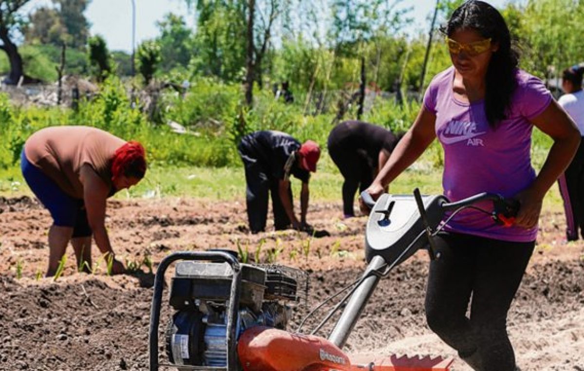 Rosario: Más de 13 mil jóvenes participan del proyecto Nueva Oportunidad