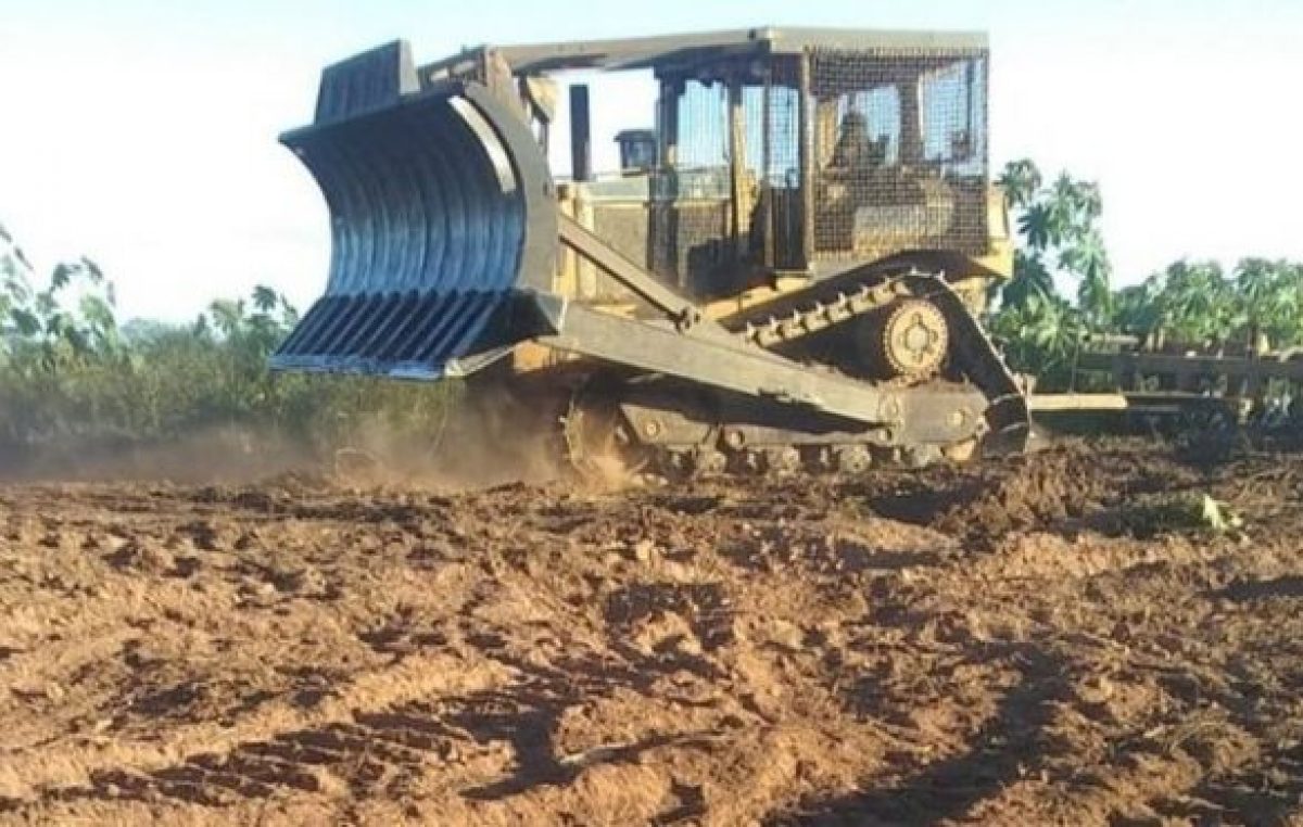 Saucelito: Desmonte exprés en una zona roja del mapa de ordenamiento