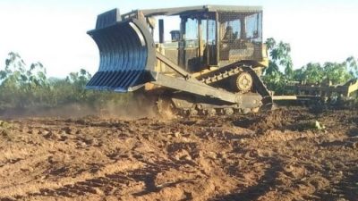 Saucelito: Desmonte exprés en una zona roja del mapa de ordenamiento