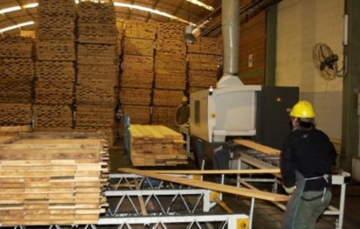 El sector maderero se está haciendo aserrín