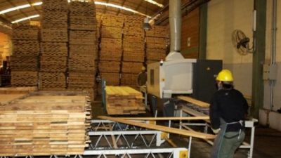 El sector maderero se está haciendo aserrín