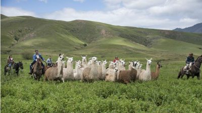 Dejate atrapar por Tucumán