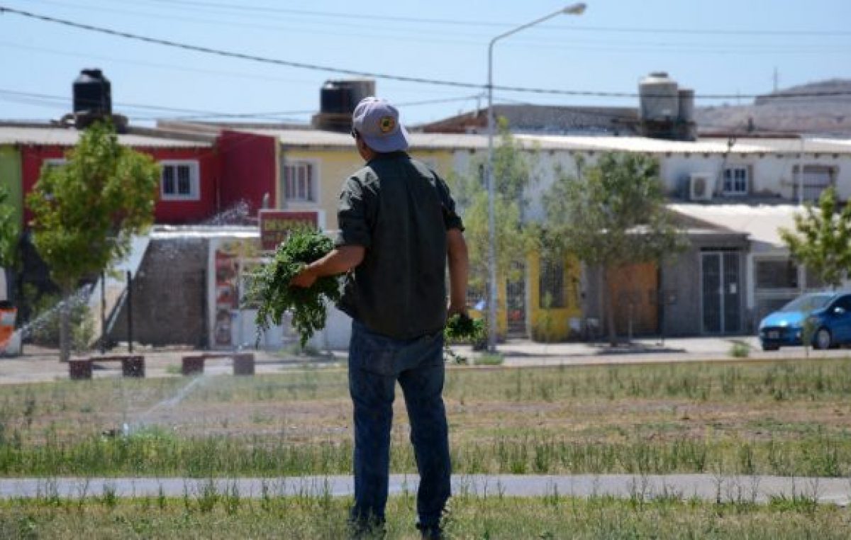 Los vecinos que quieran cuidar sus plazas en Neuquén cobrarán 5.500 pesos