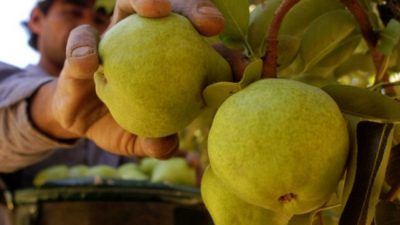 Los chacareros del Valle rechazan el acuerdo con Europa