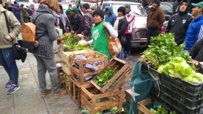 Santa Fe: “El precio de la verdura aumenta un 400% desde el productor a la góndola”