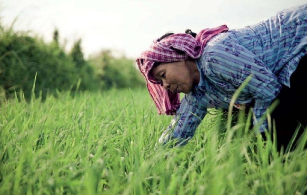 Más de 88 mil mujeres rurales mendocinas con dificultades para atender su salud