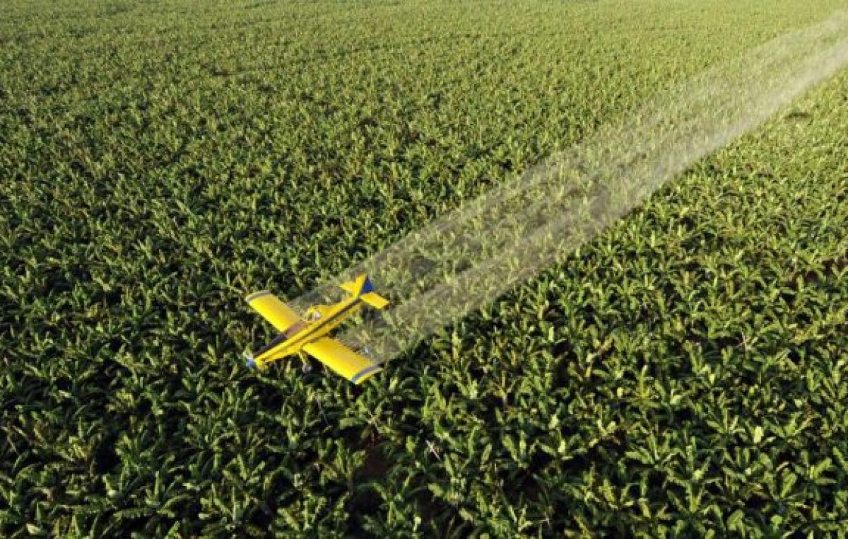 Un fallo de la Corte bonaerense a favor de la agroecología