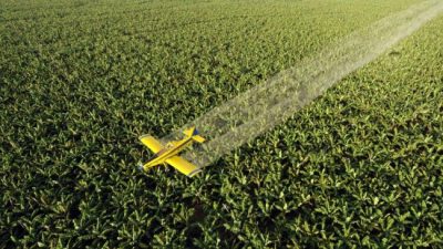 Un fallo de la Corte bonaerense a favor de la agroecología