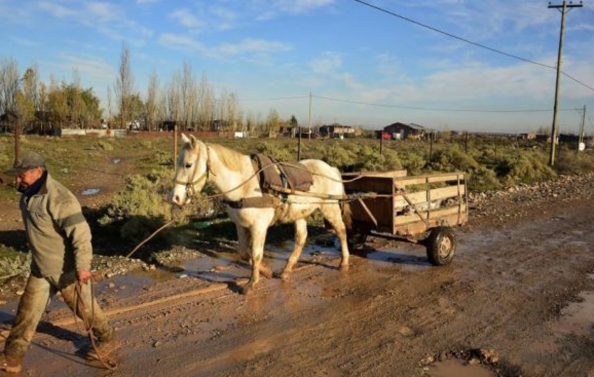 Colonia Rural Nueva Esperanza: Un barrio que sobrevive al costado de Vaca Muerta