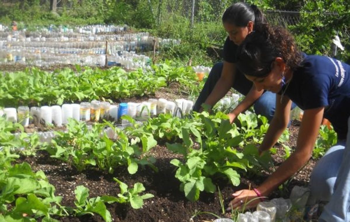 El Gobierno Nacional dio de baja un programa destinado a jóvenes rurales jujeños