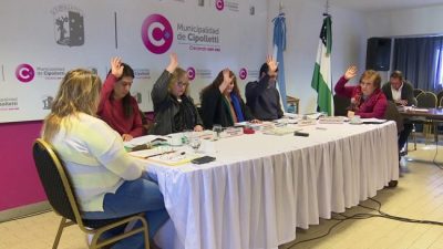 Asignaciones familiares en Cipolletti: el ejecutivo vetó la ordenanza aprobada y los concejales volvieron a ratificarla
