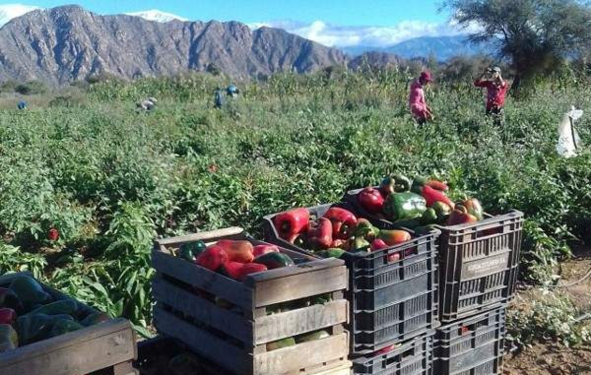 FONAF: “Un nuevo Ministerio de Agricultura para pocos”