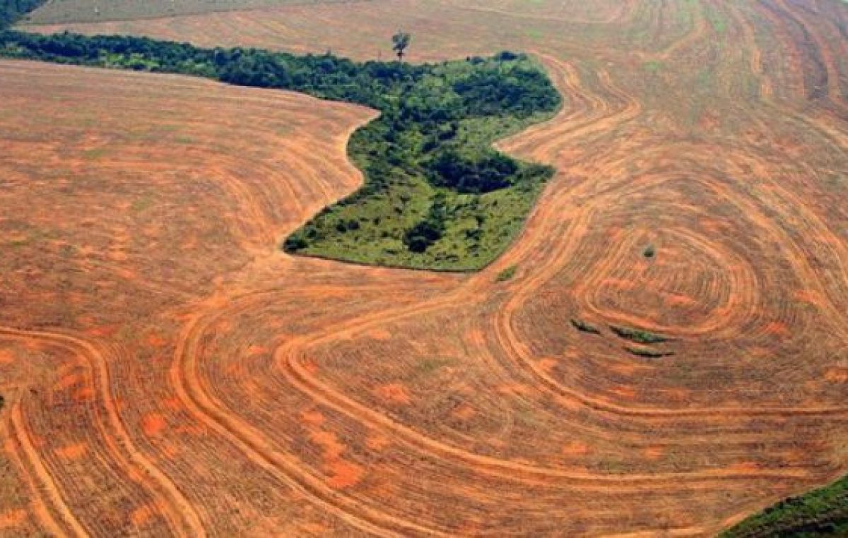 Aumento significativo de la deforestación en la Amazonia brasileña