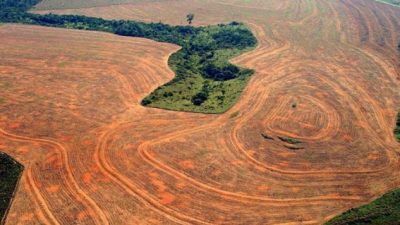 Aumento significativo de la deforestación en la Amazonia brasileña