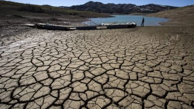 ONU urge cambiar dieta y uso de la tierra para frenar el cambio climático