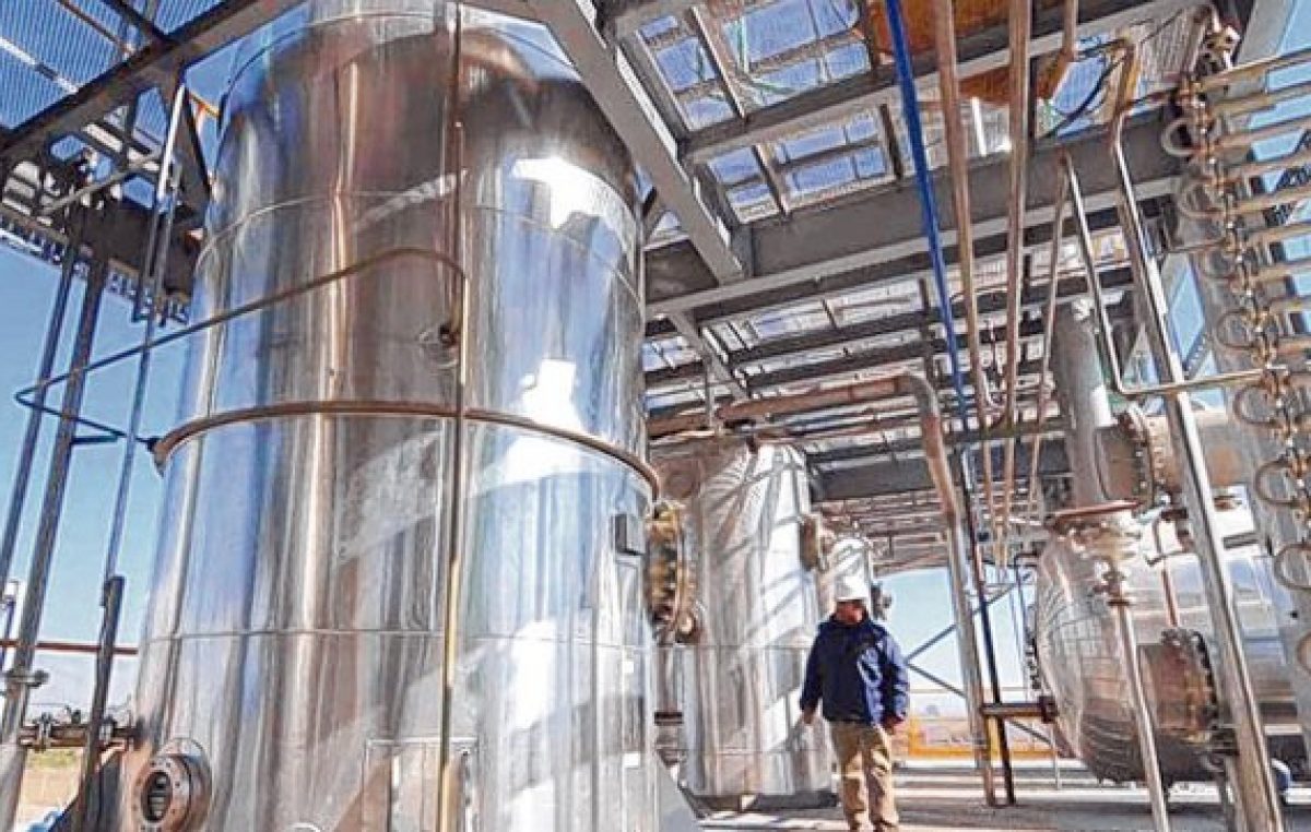 Biodiesel: advierten que peligran miles de empleos en el sector pyme