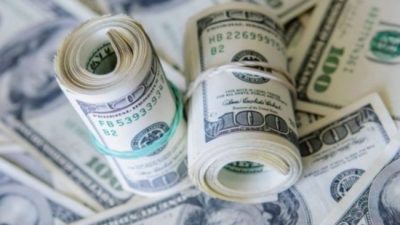 La corrida interminable: se fugaron 10 mil millones de dólares en apenas un mes