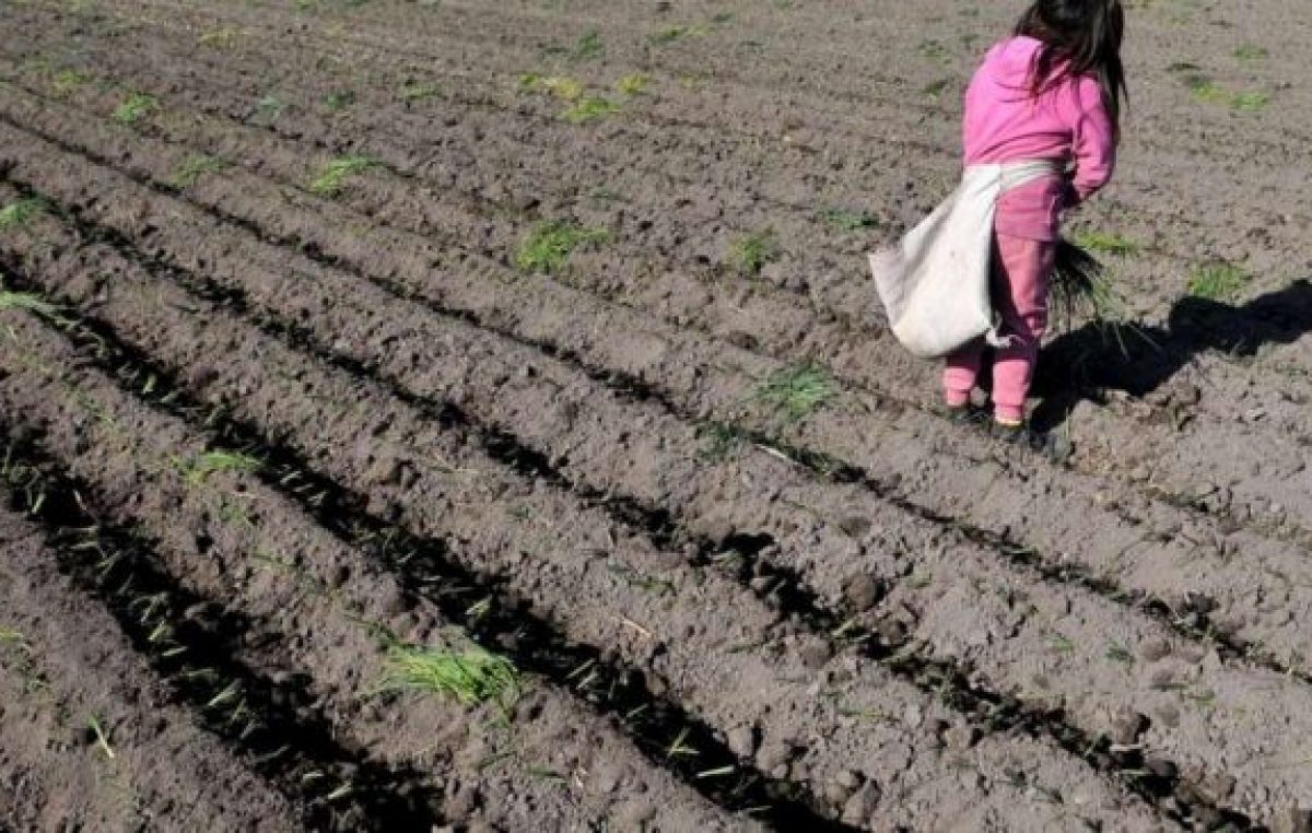 Casi 9 millones de chicos realizan una actividad productiva en el país