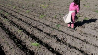Casi 9 millones de chicos realizan una actividad productiva en el país