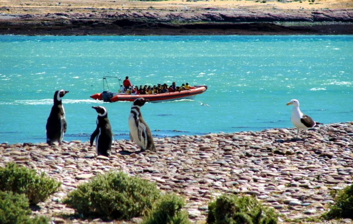 Puerto Deseado La mística de un lugar desconocido