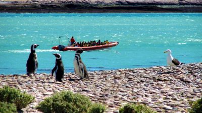 Puerto Deseado La mística de un lugar desconocido