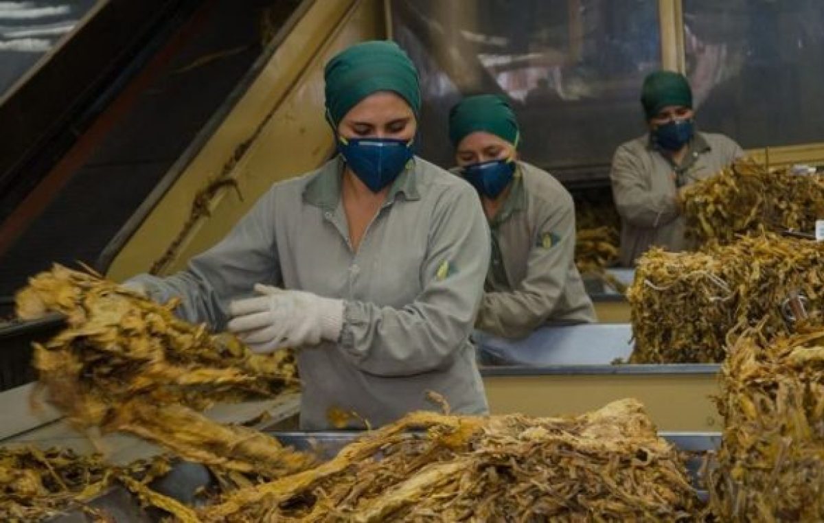 Alarma por el cierre de plantas de tabaco y reducción de personal