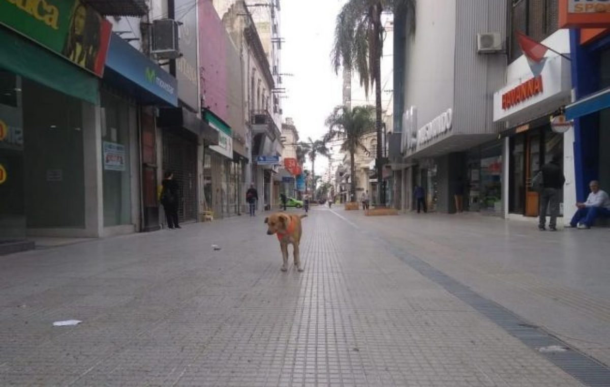 La caída del comercio en Santa Fe tras las Paso y las bajas expectativas