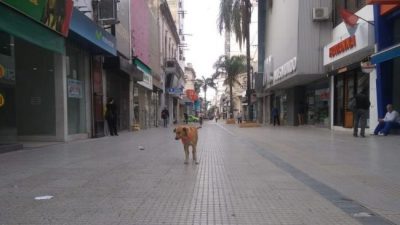 La caída del comercio en Santa Fe tras las Paso y las bajas expectativas