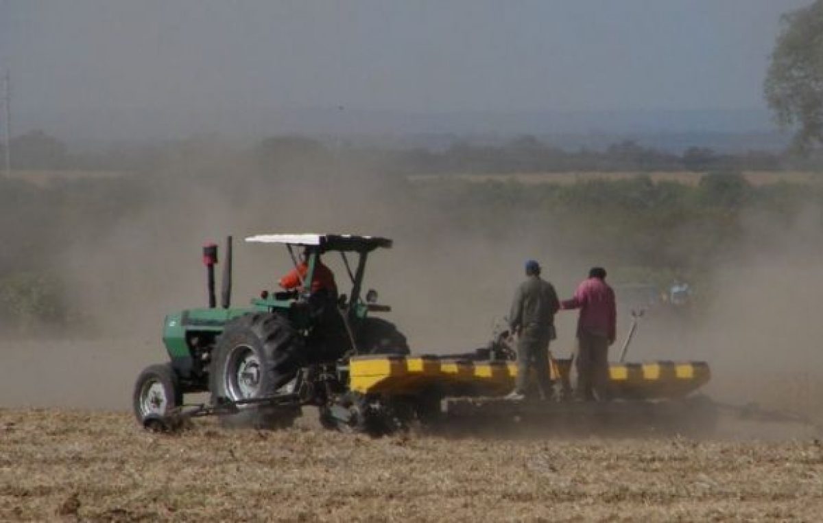 Al 50% del campo salteño lo explota el 1% de los productores