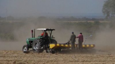 Al 50% del campo salteño lo explota el 1% de los productores
