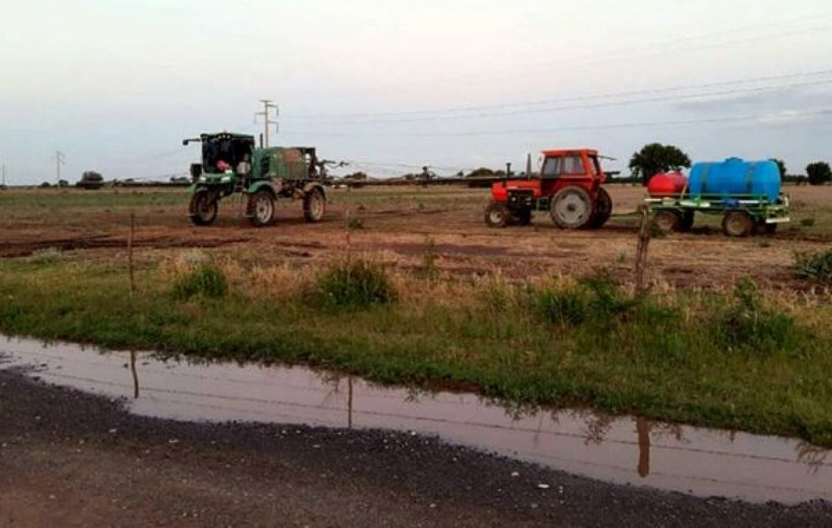 Pueblos y escuelas fumigados: la Provincia de Córdoba recibe 4 denuncias por día