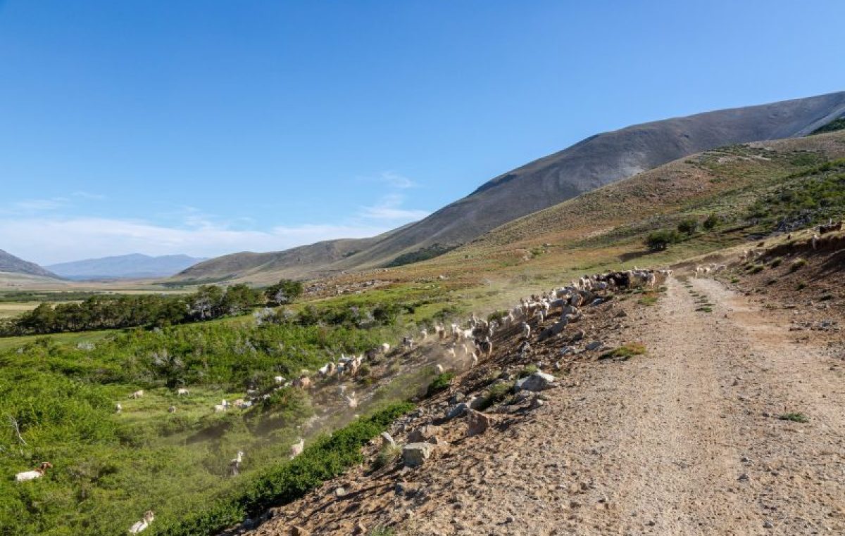 Lumabia, el paraíso escondido en la cordillera del norte neuquino