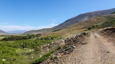 Lumabia, el paraíso escondido en la cordillera del norte neuquino