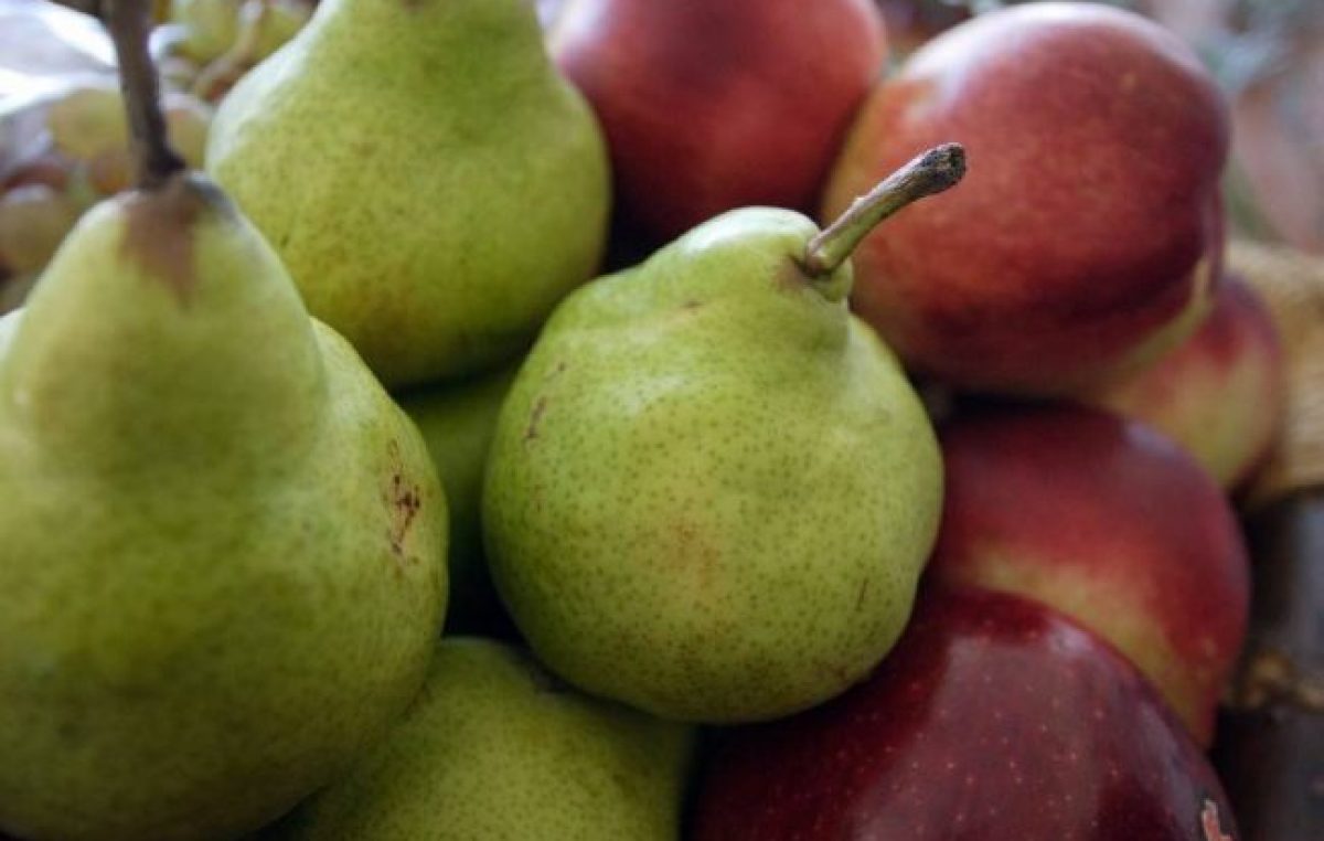 Los comedores escolares se llenarán de fruta fresca para los alumnos rionegrinos