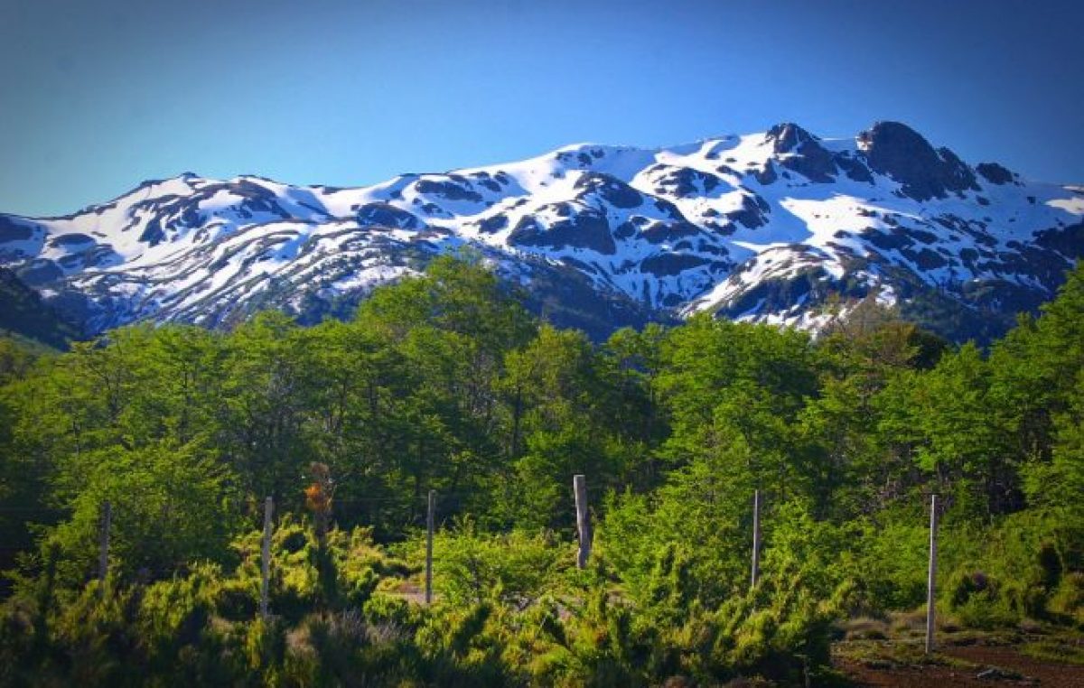 ¿Cuánta tierra rural de Argentina está en manos extranjeras?