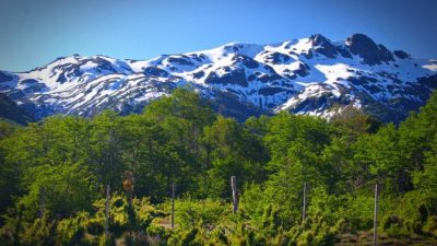¿Cuánta tierra rural de Argentina está en manos extranjeras?