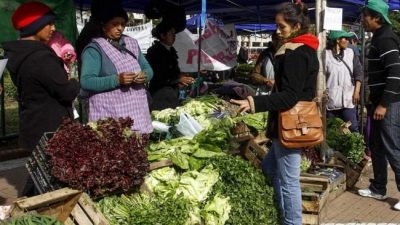 Concordia: ¿Para qué se está usando la Tarjeta AlimentAr?