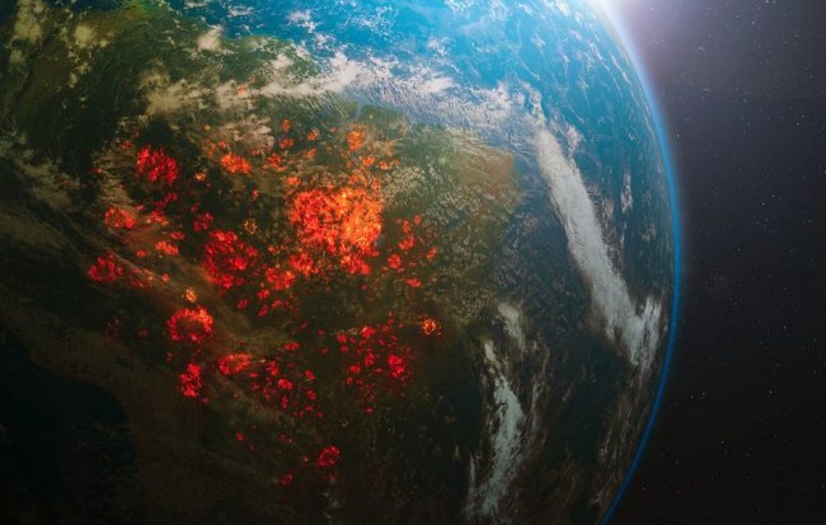 Un año de Bolsonaro: la gran amenaza al medio ambiente