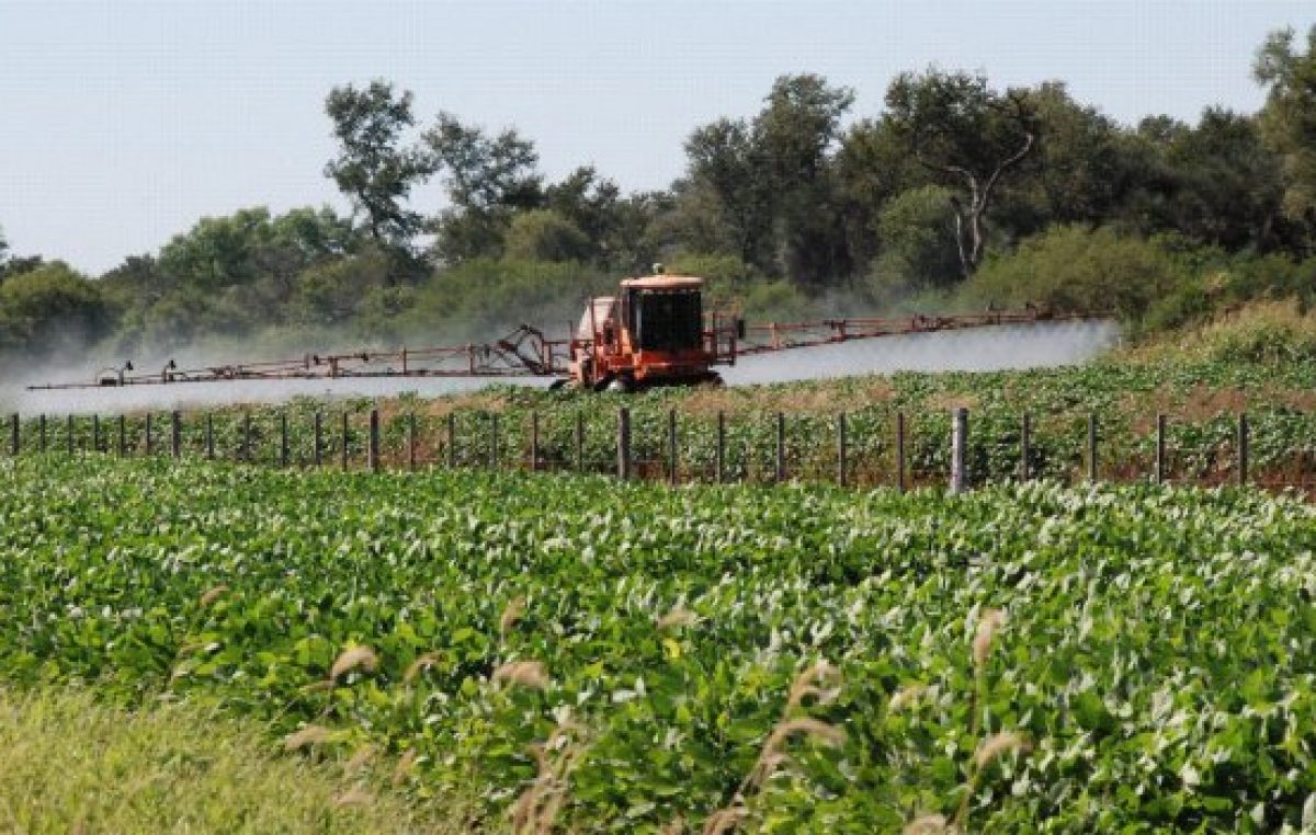 Un fallo histórico restringe a 800 metros las aspersiones terrestres en Sastre