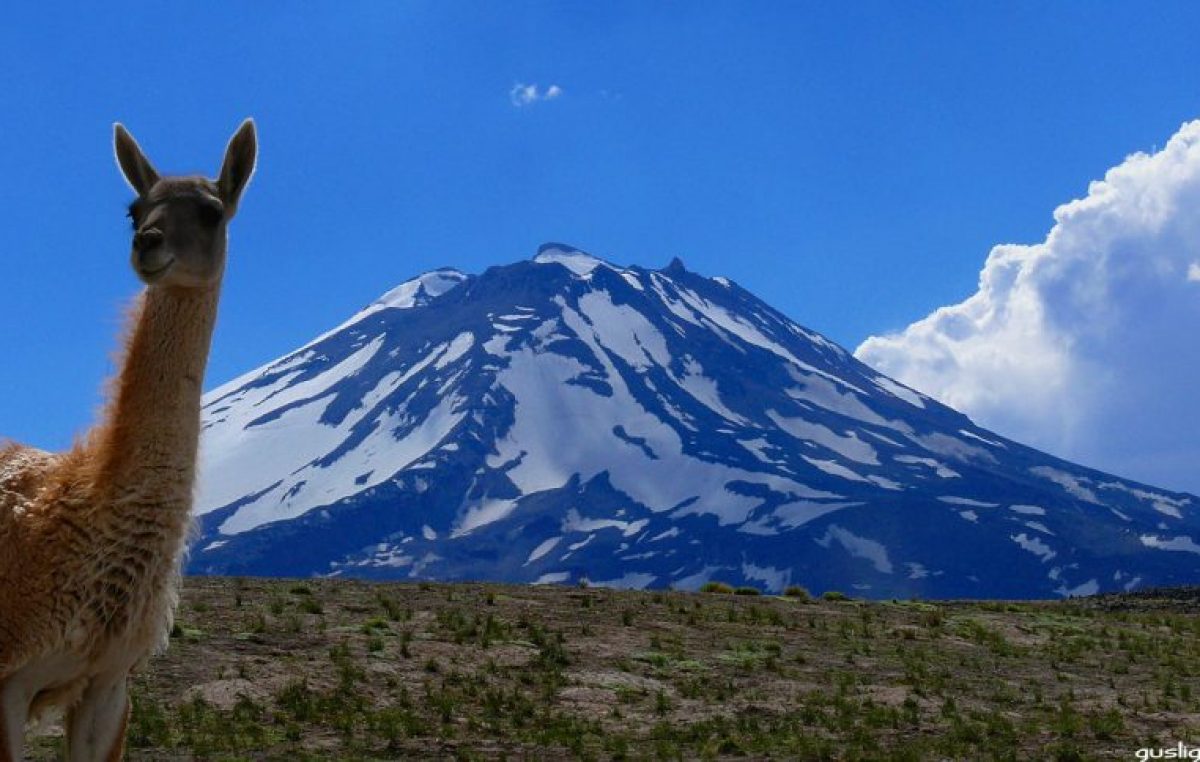 La reserva de la Laguna del Diamante ya recibió más de 4.500 visitantes 