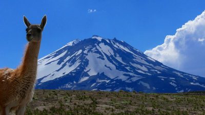 La reserva de la Laguna del Diamante ya recibió más de 4.500 visitantes 