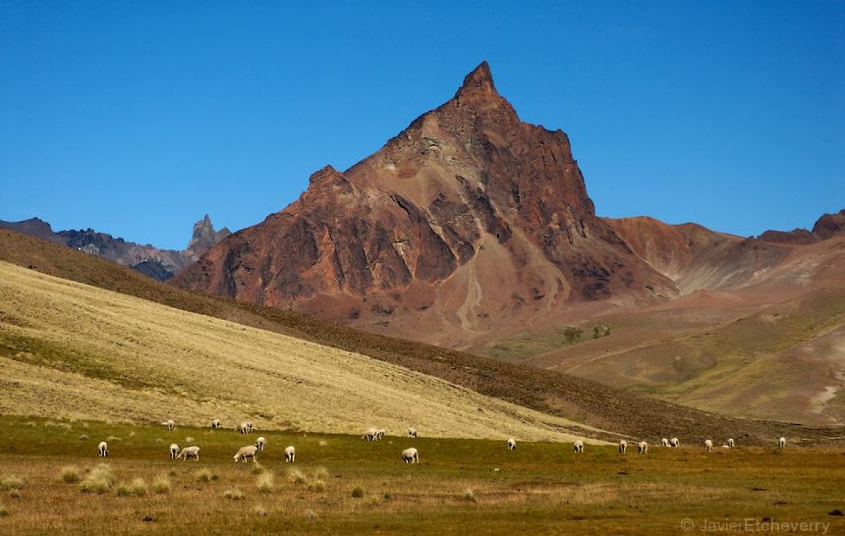 Una travesía autoguiada por la ruta menos conocida de la Patagonia