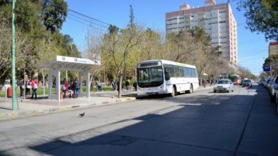 Cipolletti congeló las tarifas de Pehuenche por cuatro meses