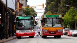 Provincia de Río Negro transferirá a municipios el dinero para mantener el costo del boleto del transporte