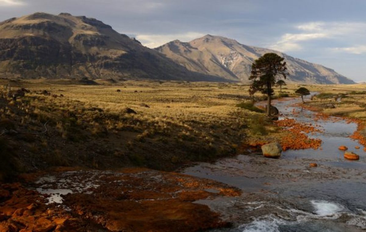 Salto del Agrio; tentate con la escapada perfecta