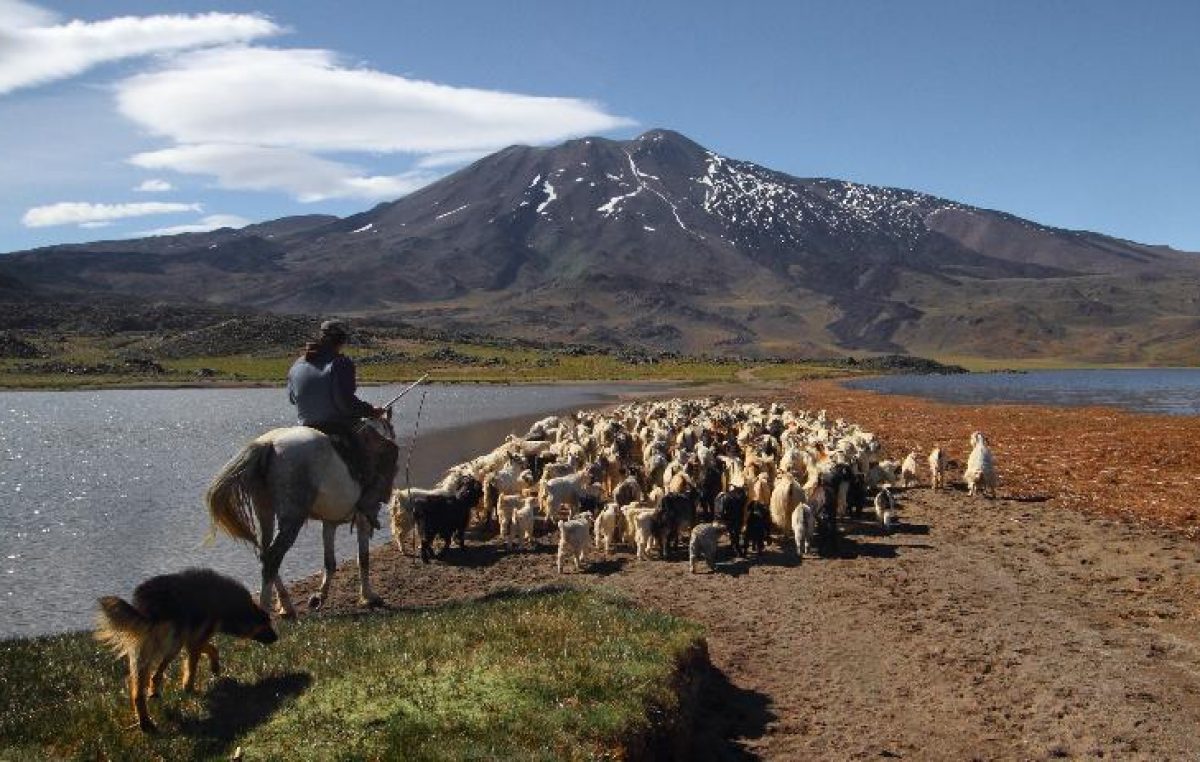 El Parque Provincial Tromen, un tesoro del norte neuquino